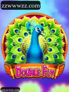 Experiência Inovadora em Apostas com zzw: DoubleFly Facilita Suas Jogadas